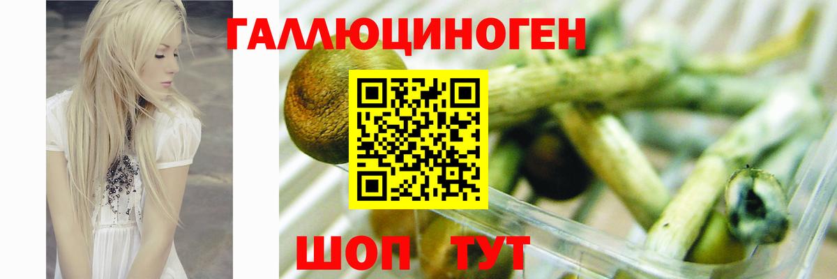 Псилоцибиновые грибы Cubensis  Вход с VPN  Галлюциногенные грибы ЛСД  Полевской 