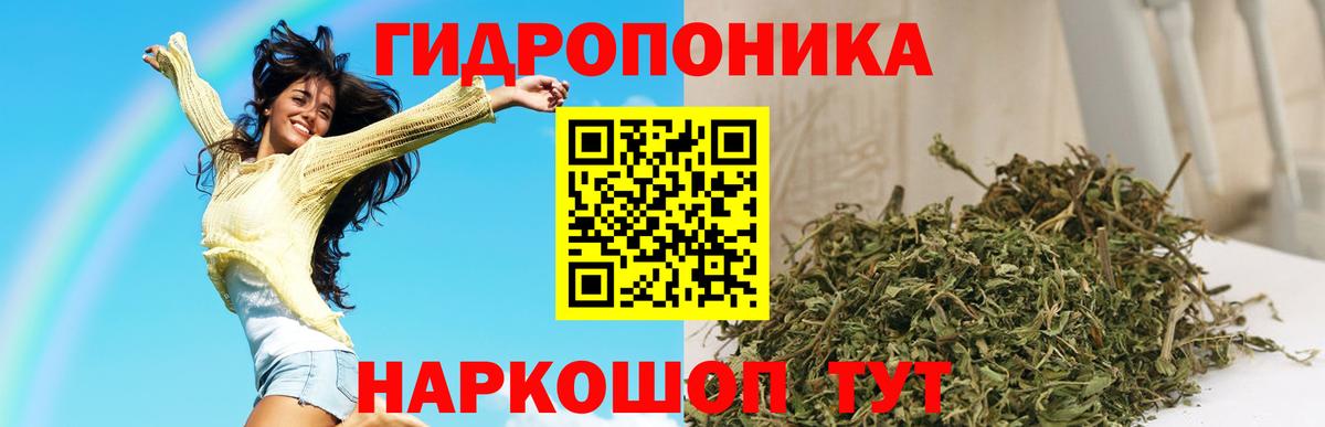 Бошки Шишки VHQ Полевской